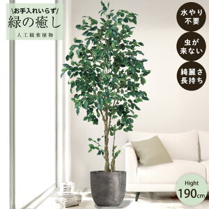 y[J[z tFCNO[ t@CJXc[ |bgt 190cm ^   lHϗtA Os acs