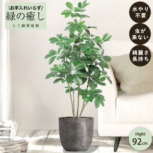 y[J[z tFCNO[ xr[VFt |bgt 100cm ^   lHϗtA  Os acs