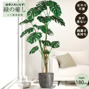 【メーカー直送】 フェイクグリーン モンステラ ポット付き 180cm 大型 高級 室内 人工観葉植物 屋外不可 acs
