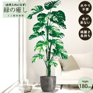 【メーカー直送】 フェイクグリーン モンステラ ポット付き 180cm 大型 高級 室内 人工観葉植物 屋外不可 acs