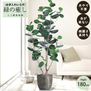 y[J[z tFCNO[ CfBAA[h |bgt 180cm ^   lHϗtA Os acs