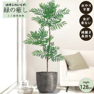 y[J[z tFCNO[ Go[tbV |bgt 128cm ^   lHϗtA  Os acs