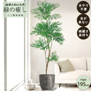 y[J[z tFCNO[ Go[tbV |bgt 195cm ^   lHϗtA Os acs