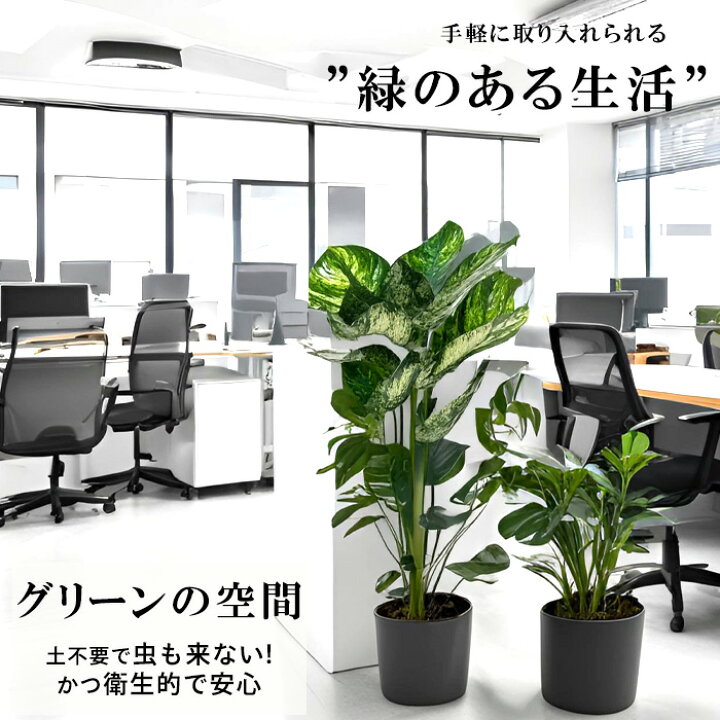 楽天市場】【メーカー直送】 フェイクグリーン ゴムの木 ポット付き