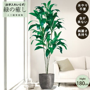 y[J[z tFCNO[ hZi |bgt 180cm ^   lHϗtA Os acs