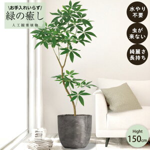 y[J[z tFCNO[ pL |bgt 150cm ^   lHϗtA  Os acs