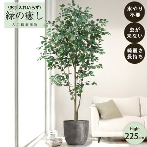 y[J[z tFCNO[ t@CJX |bgt 225cm ^ gݗĎ   lHϗtA Os acs