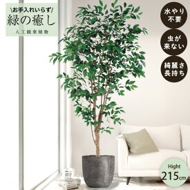 【メーカー直送】 フェイクグリーン ファイカスツリー ポット付き 215cm 大型 高級 室内 人工観葉植物 屋外不可 acs