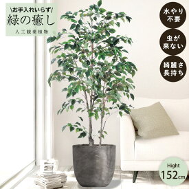 【メーカー直送】 フェイクグリーン ファイカスツリー ポット付き 152cm 中大型 高級 室内 人工観葉植物 送料無料 屋外不可 acs