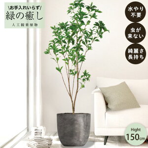 y[J[z tFCNO[ AZr |bgt 150cm ^   lHϗtA  Os acs