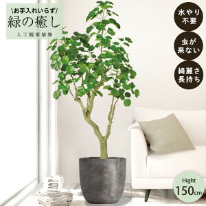 y[J[z tFCNO[ V[hAA |bgt 150cm ^   lHϗtA  Os acs