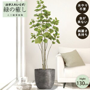 y[J[z tFCNO[ X[Nc[ |bgt 130cm ^   lHϗtA  Os acs