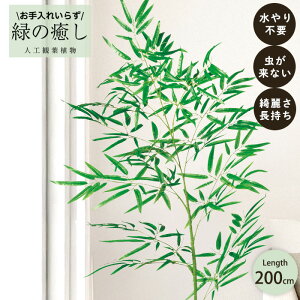 y[J[z tFCNO[ ou[ 200cm ^ | [   lHϗtA  Os acs