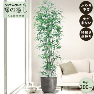 y[J[z tFCNO[ ou[c[ |bgt 200cm ^ gݗĎ   lHϗtA Os acs