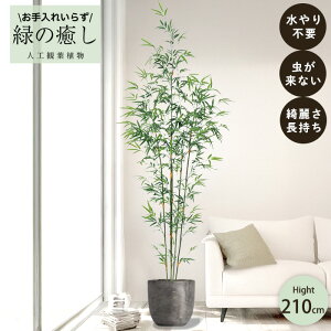 y[J[z tFCNO[ ou[c[ |bgt 210cm ^   lHϗtA Os acs