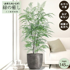 y[J[z tFCNO[ t@[ |bgt 145cm ^   lHϗtA  Os acs