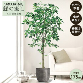 【メーカー直送】 フェイクグリーン ファイカスツリー ポット付き 175cm 中大型 組み立て式 高級 室内 人工観葉植物 送料無料 屋外不可 acs