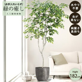 【メーカー直送】 フェイクグリーン ファイカスツリー ポット付き 182cm 中大型 高級 室内 人工観葉植物 屋外不可 acs