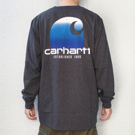 カーハート Tシャツ 長袖 ロンT ポケットTシャツ バックプリント リラックスフィット Carhartt Relaxed Fit Heavyweight Long-Sleeve Pocket C Graphic T-Shirt USAモデル [105952] [TK5952-M] 【メール便対応】