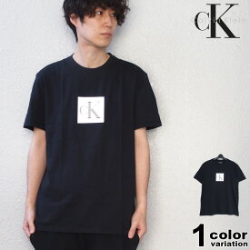 Calvin Klein SS GRAPHIC TEE カルバンクライン Tシャツ 半袖 メンズ レディース (calvin klein tシャツ トップス 40IC811) 【あす楽対応】 【メール便対応】