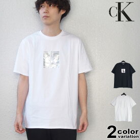 Calvin Klein SS GRAPHIC TEE カルバンクライン Tシャツ 半袖 メンズ レディース (calvin klein tシャツ トップス 40mc838) 【メール便対応】