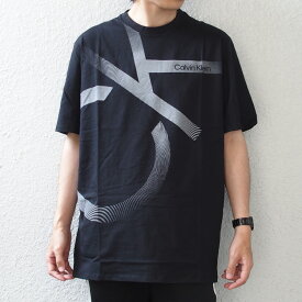 Calvin Klein SS GRAPHIC TEE カルバンクライン Tシャツ 半袖 メンズ レディース (calvin klein tシャツ トップス 40MC856) 【あす楽対応】 【メール便対応】