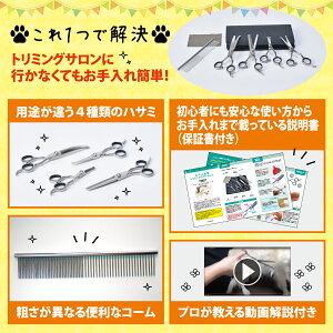 楽天市場 楽天3冠達成 トリミングシザー 5点セット プロトリマー監修 初心者 簡単 安全 トリマー ペット コーム 美容 ハサミ はさみ すきバサミ 犬 猫 Latuna ラチュナ 楽天市場店