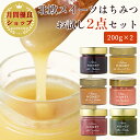 送料無料 アーティサンハニー はちみつ プレゼント 食べ物 高級 スイーツ スイーツギフト 生はちみつ 非加熱 ギフト 蜂蜜 無添加 無農薬 オーガニック 免疫力アップ 贈答 セット