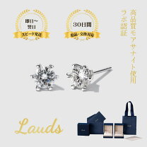 楽天市場】モアサナイト ピアス（ピアス｜メンズジュエリー 