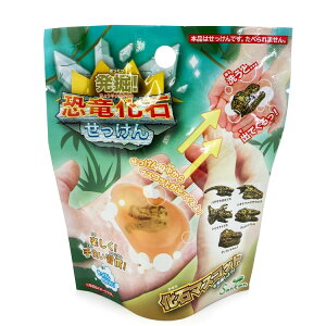 yg̓_z @! ObY  ̍ 304002