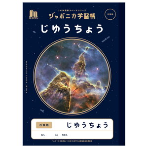 W|jJwK JXL-72 B5 䂤傤 ʐ^ F JAXAďCXy[XV[Y