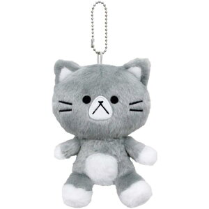 `p`Ƃ ʂ STCY ܂ybsOsz