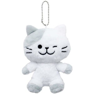 `p`Ƃ ʂ STCY }L`ybsOsz