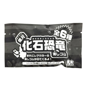 yg̓_z fBmEA[X ΏS1e  PVS RNV 313848