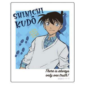 ���T��R�i�� �X�e�b�J�[ �|�����C�h�V�� 599699 �ʐ^�� �V�[��