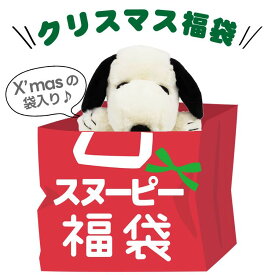 スヌーピークリスマス福袋 【ラッピング不可】