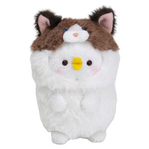 JiwC ʂ Oh[ sXP 900539 JiwC̏sXP& l` 킢