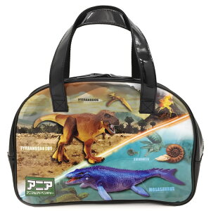 AjA BAN-2580 {XgobO N v[obO j̎q  T}[ACe 247301