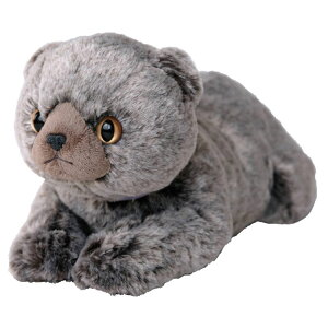 Ђ˂ ʂ ɂ XReBbVtH[h GY 048342