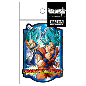 hS{[ _CJbgXebJ[ 250111 VEm[g