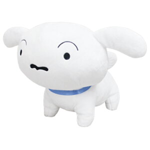 N񂿂 SN42 ʂM V lVer. 904768