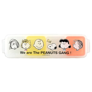 Xk[s[ L[uXgbJ[4pc 090732 PEANUTS s[ibc