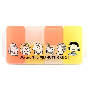 Xk[s[ L[uXgbJ[6pc 090749 PEANUTS s[ibc