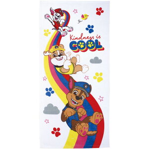 pEEpg[ TOB100H RpNgoX^I XP[^[ybsOsz