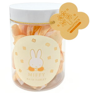 ~btB[ oX^ubg 244816 ؍҃Mtg miffy fBbNu[i LNZC