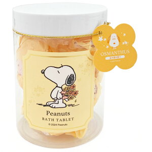 Xk[s[ oX^ubg 244793 ؍҃Mtg PEANUTS s[ibc LNZC