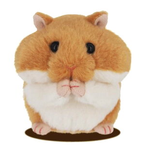 ͂ނ` ʂ [ł񂳂 Ă̂ʂ ~j nX^[