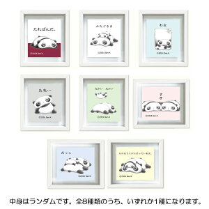 yg̓_z ς uCht[}Olbg 204382