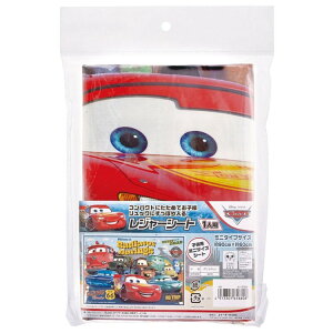 fBYj[ J[Y VS1 W[V[gS 658808 1lp qp ~jTCY 90×60cm