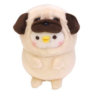 JiwC ʂ pO sXP JiwC̏ sXP& 957533